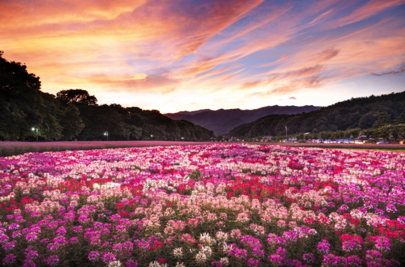 9월 국내 여행지 가볼만한 곳 추천 리스트 1 상림공원