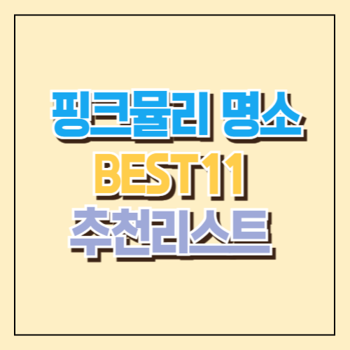 핑크뮬리 명소 BEST11 추천리스트 핑크뮬리 가볼 만한 곳 1 핑크뮬리 명소 BEST11 추천리스트 핑크뮬리 가볼 만한 곳